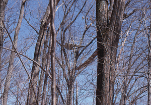 Canopy walkway in April, 1997.
