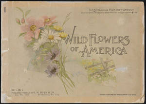 Wild flowers of America : flowers of every state in the American Union. Vol. 1., No. 01