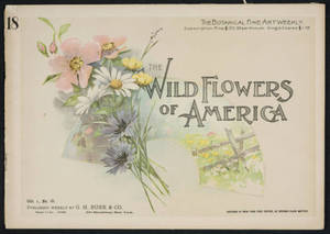Wild flowers of America : flowers of every state in the American Union. Vol. 1., No. 18