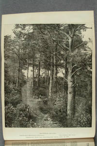 Litho-photograph from nature : presented with the Photographic News, April 20, 1866