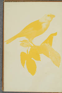 [Halftone with individual separations in A manual of photo-engraving]