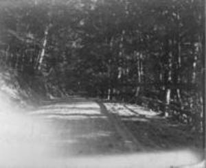 Torrey's Woods, 1897