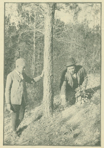 Booker T. Washington picking flowers in the woods