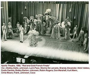 Jewel Box Revue Ensemble on Stage at the Apollo Theatre (2)