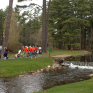 People walking for MS
