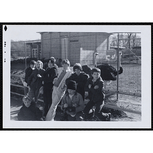 A group of boys pose outdoors at a zoo as ostriches stand behind them