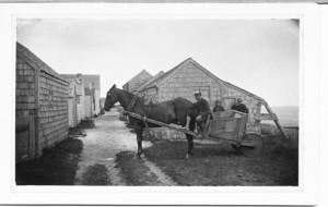 Boy in horse cart in front of shingled homes, Sciasconsett, Nantucket, Mass., 1882
