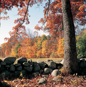 exterior, fall, Codman House, Lincoln, Mass.