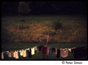 Laundry line and fields, Tree Frog Farm commune