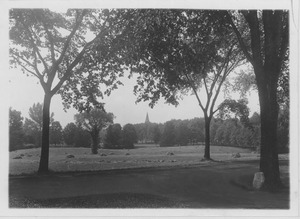 Campus Views, Fields and Gardens