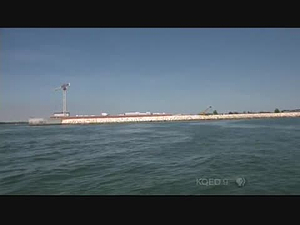 PBS NewsHour Weekend; PBS NewsHour Weekend : KQED : July 23, 2017 5:30pm-6:01pm PDT