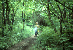 Motorbike traveling away on the Taconic Crest Trail.