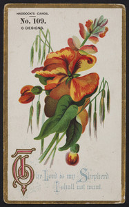 Sample card for Haddock's Cards, location unknown, undated