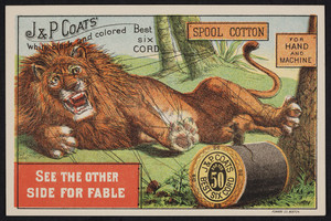 Trade card for J. & P. Coats' Best Six Cord Thread 50, location unknown, undated