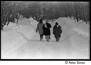 Commune members walking down a snowy road, Tree Frog Farm commune