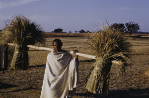 Ranchi man carrying grain