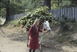 Woman with horse in Volce