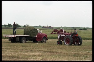 Tractor loads bales of alfalfa onto a flatbed truck