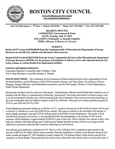 Committee on Environment and Parks hearing minutes, July 21, 2015