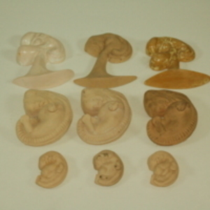 Embryo production models, 1945-2007