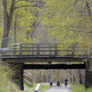 Jackson Street Bike path
