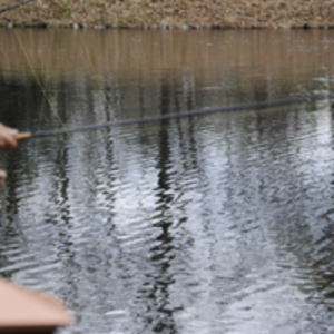 Fly Fishing at Look Park
