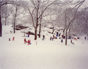 Savin Hill sledders