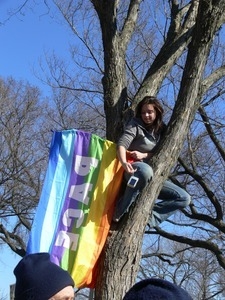 Protesters on the National Mall, marching against the War in Iraq, hanging a Gay Pride flag in a tree