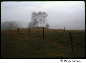 Fields and fence in the mist, Tree Frog Farm commune