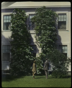 C R Elders (wooden house with large climbing flowering vine, hydrangea?, man and women observing)