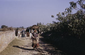 Woman carrying a basket