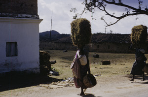 Village women carrying hay