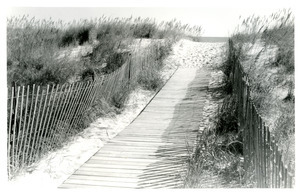 Boarded path to Atlantic
