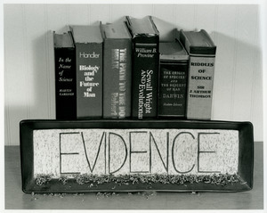 "Evidence" by Francine Ozereko