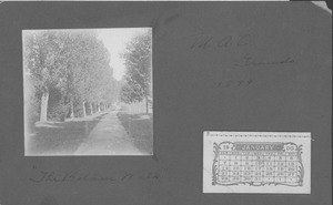 Campus Views, Roads and Walks ca. 1880s-1890s