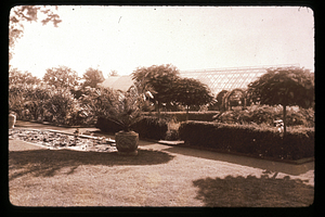 Oak Hill garden