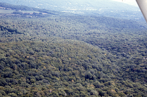 Aerial oblique view of junction of South Branch and Middle Branch of Birch Brook on 2 Sept 1971.