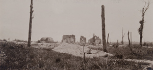 Wide-angle view of destroyed stone buildings and trees