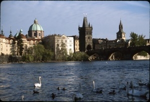 Charles Bridge, Old Town, and birds on the Vltava river