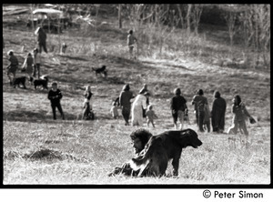 After the Maypole celebration, Packer Corners commune: leaving the field, with Marshall Bloom lying in the foreground grass with a dog