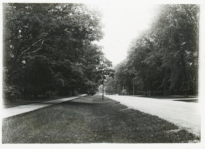 Sidewalk, wide verge, and street in unidentified town