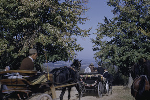 Šumadija bride and groom drive off