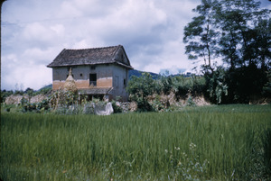 Typical farmhouse in Kathmandu Valley