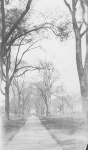 Campus Views: Roads and walkways