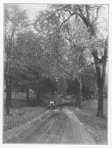 Campus Views, Roads and Walks ca. 1915-1918
