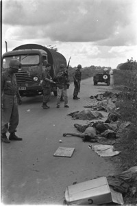 Vietcong bodies lining Route 13 after the Battle of Bau Bang, 1st Infantry, 3rd Brigade.