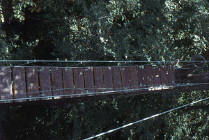 Canopy walkway 7. View of empty walkway from east end tower.