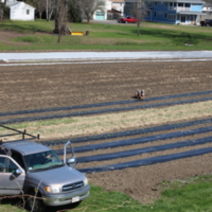 Planting the Field.