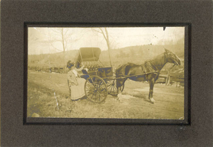 Margaret Mullaley--mother of Mark Mullaley--about to drive her buggy