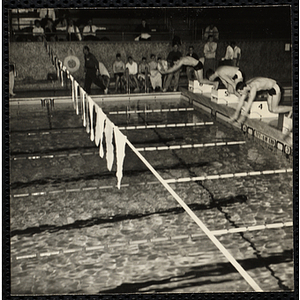 Three swimmers diving off the starting blocks during a Boys' Club swimming championship. A caption on the back of the photograph states "They're off!"